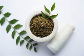 karipakupodi